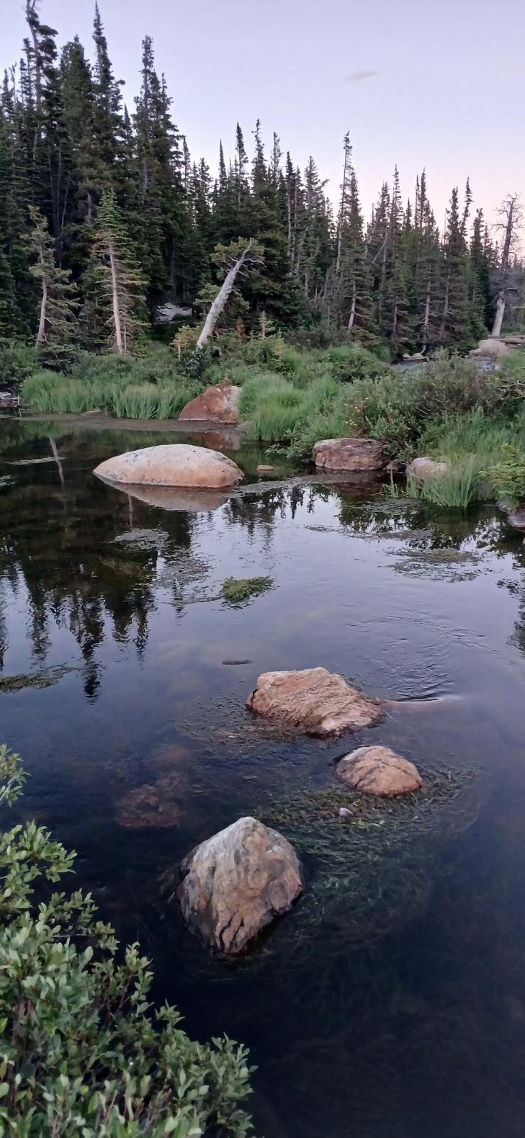 A quiet beaver pond on a Gilpin County creek at dusk